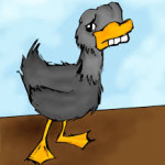 ugly duckling1